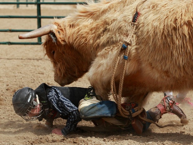 Mini Bull Riding